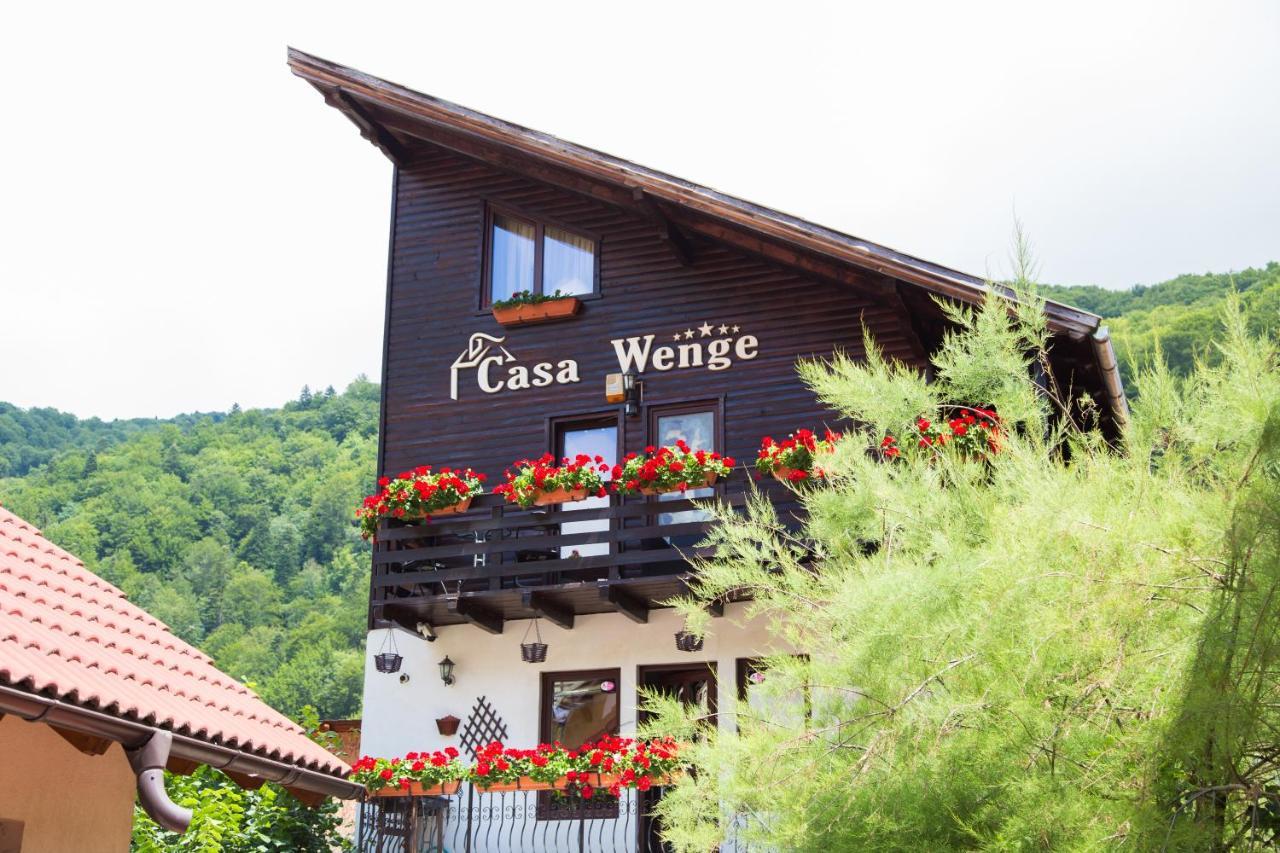 Pension Casa Wenge Сіная Екстер'єр фото
